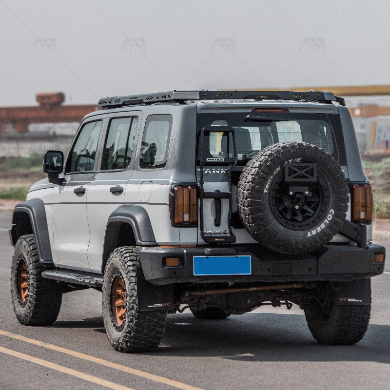 Neues Design Aluminium Explore – Car Accessories Roof Rack Bewertung und Preis